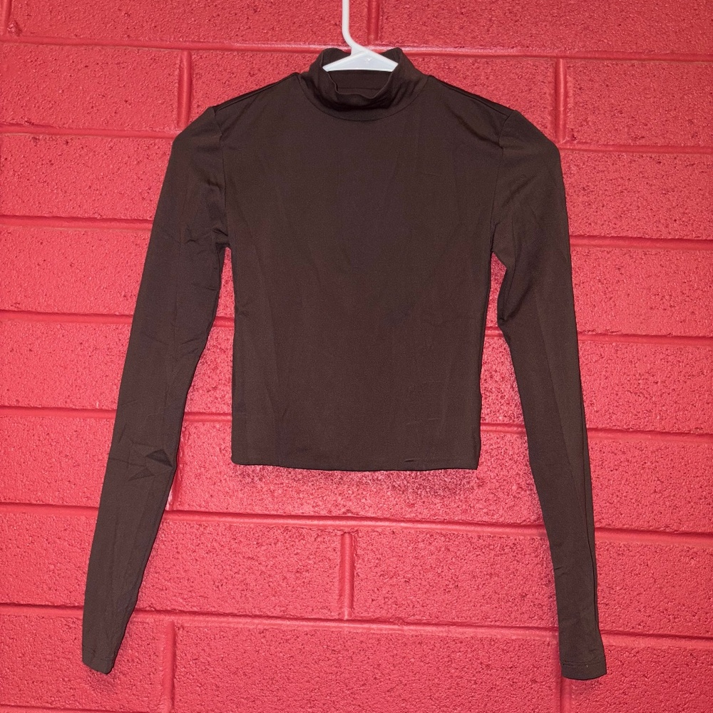 Aritzia Brown Long Sleeve Top